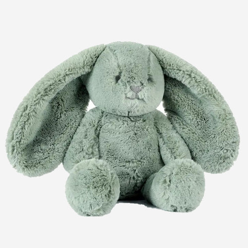 Huggie Bunny