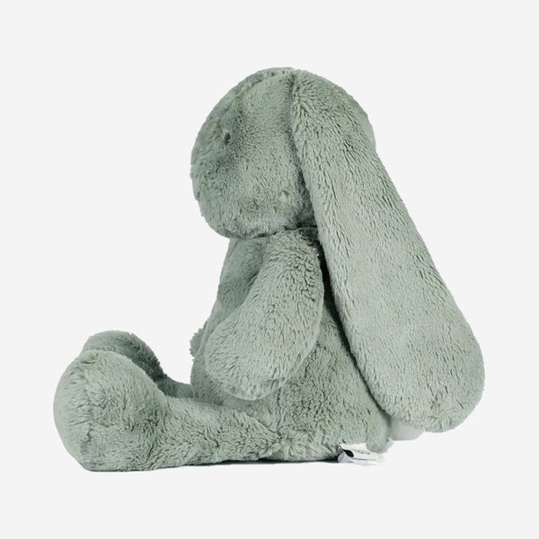 Huggie Bunny