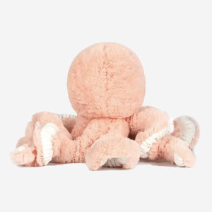 Little Cove Octopus