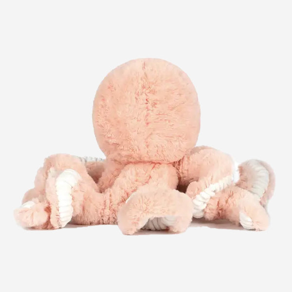 Little Cove Octopus