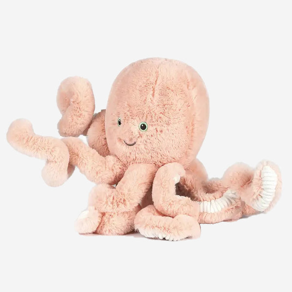 Little Cove Octopus