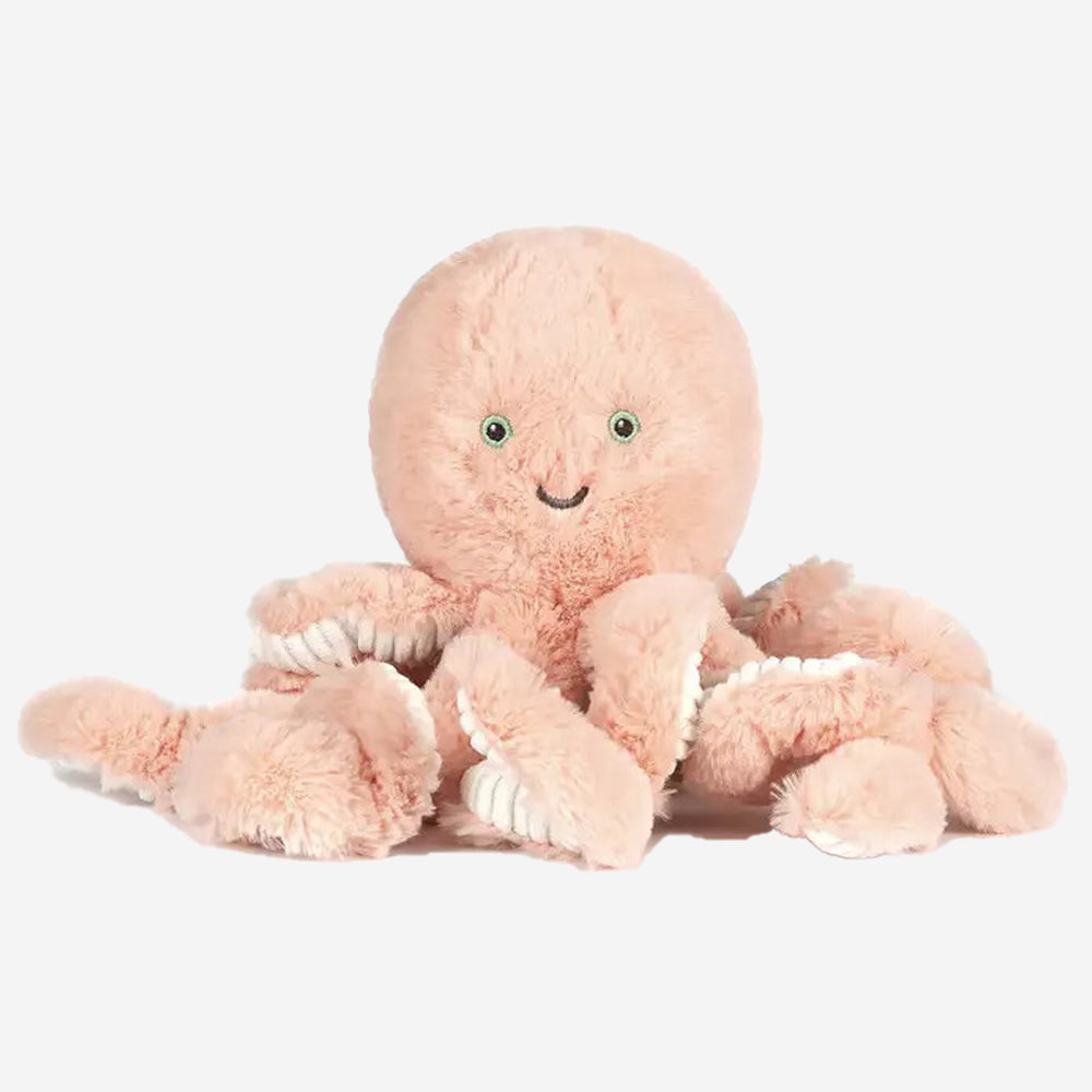 Little Cove Octopus