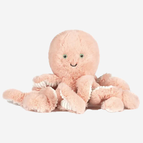 Little Cove Octopus