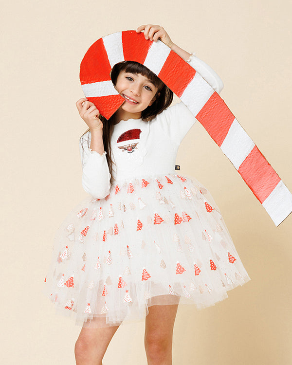 Santa Tutu Dress