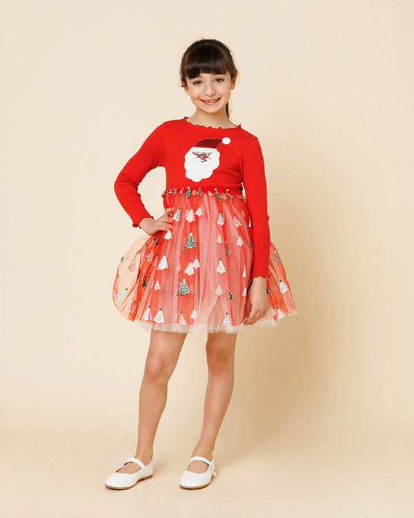 Santa Tutu Dress
