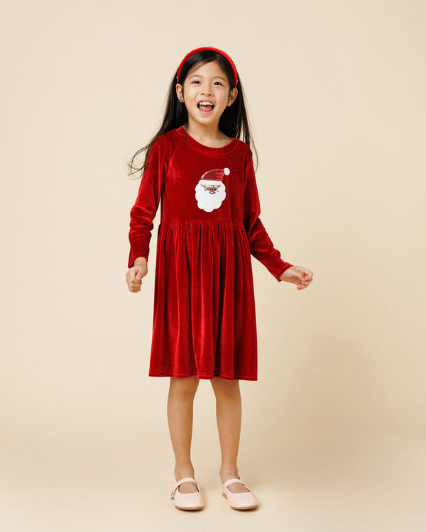 Velvet Santa Dress