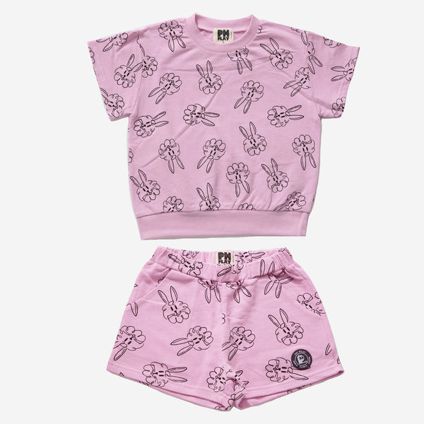 lilac rabbit