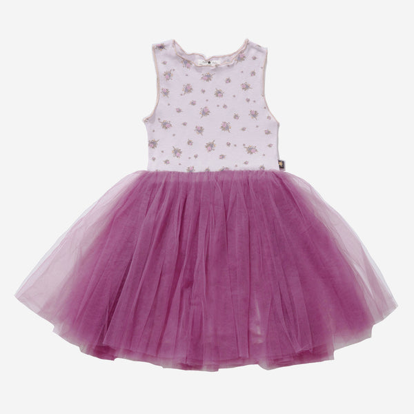 lily purple