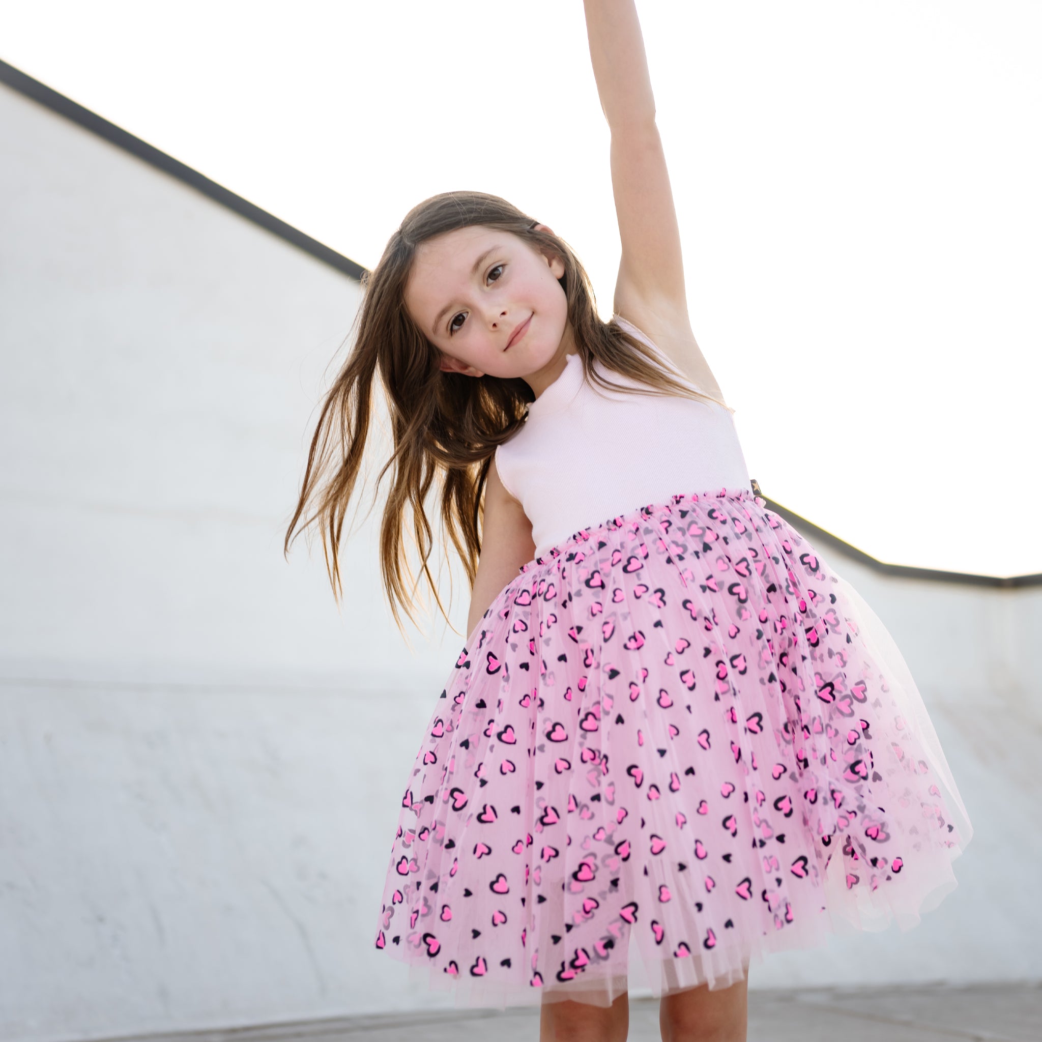 Black Pink Tutu Dress