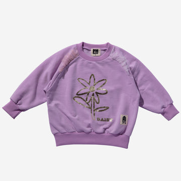 purple daisy