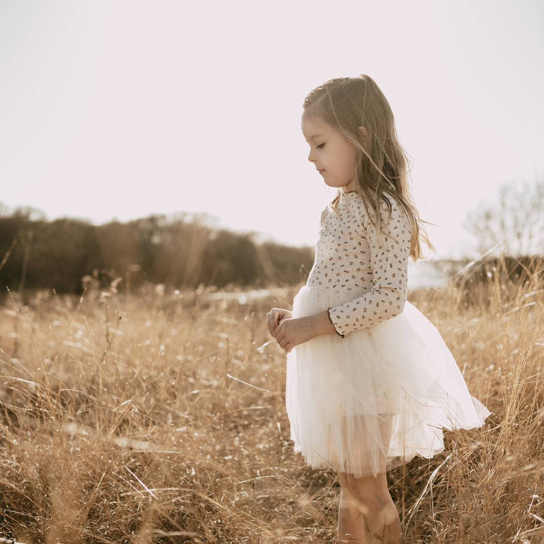 Petite hailey dresses clearance