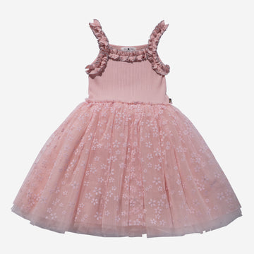 Alice Tutu Dress