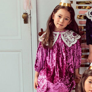 Lace Collar Dress
