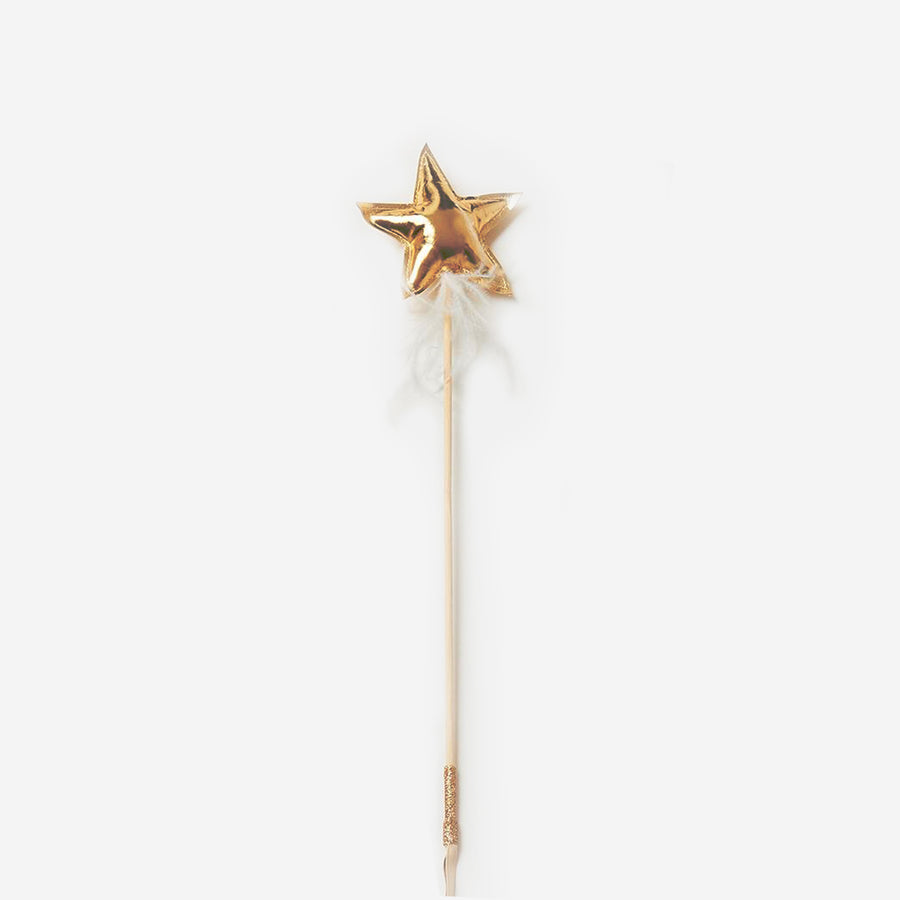Star/Pompom Stick