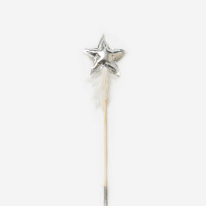 Star/Pompom Stick